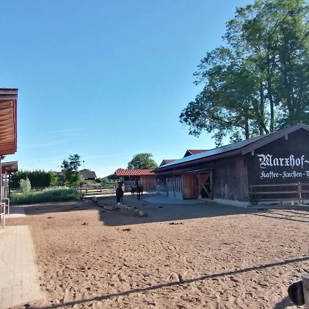 Tiny X Im Marxhof Seebruck Am Chiemsee Seeon-Seebruck Kültér fotó