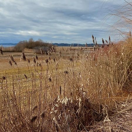 Tiny X Im Marxhof Seebruck Am Chiemsee Seeon-Seebruck Kültér fotó
